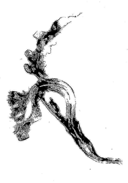 8acb2a3f38ae9310626074ac64f3491a.png 8acb2a3f38ae9310626074ac64f3491a.png